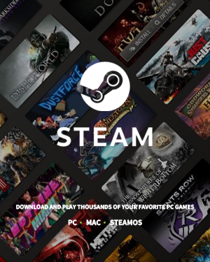 Steam 蒸氣卡